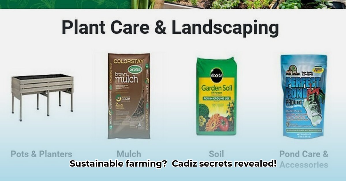 tractor-supply-cadiz